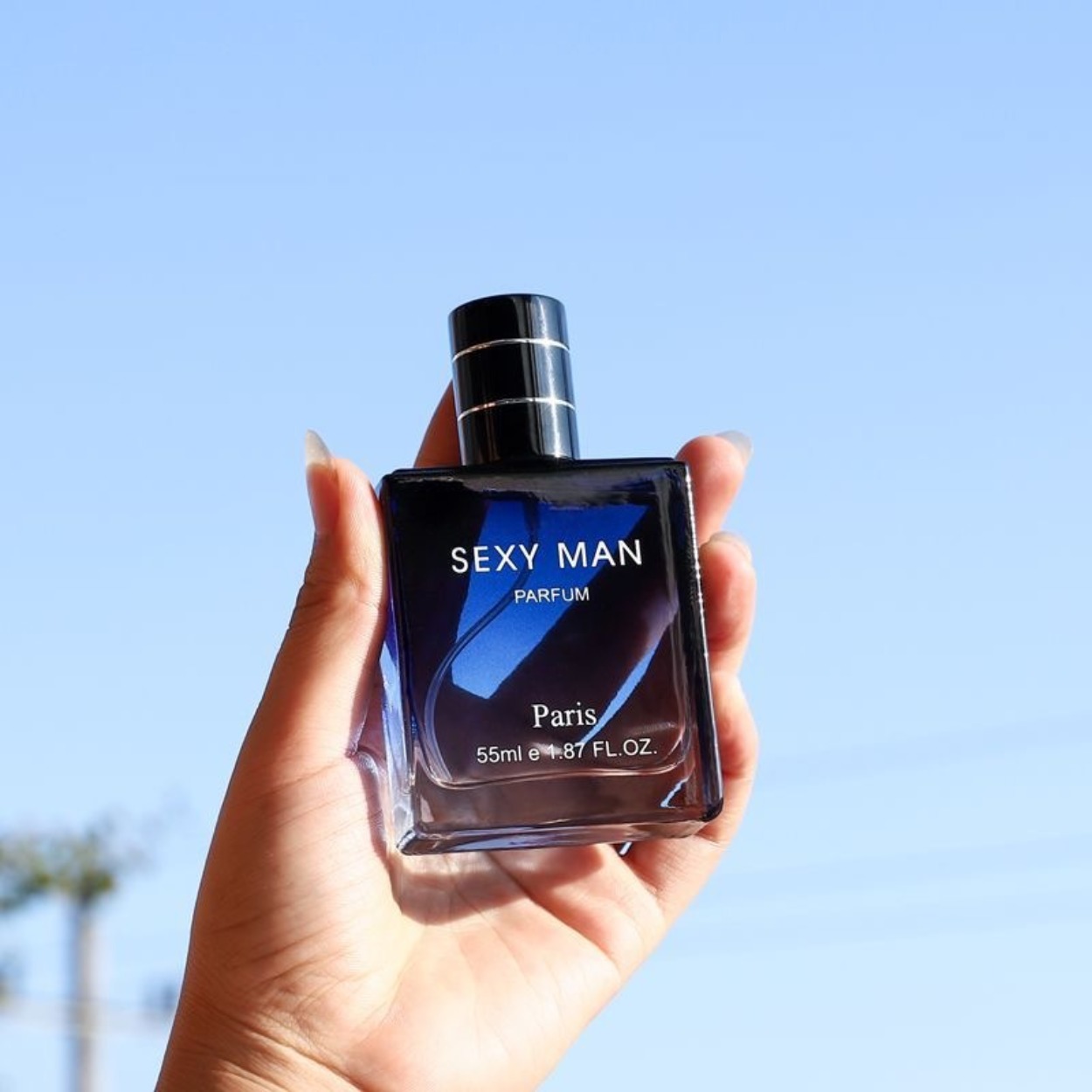 Perfume Fragrances - Parfum Pria Woody & Marine 50ml