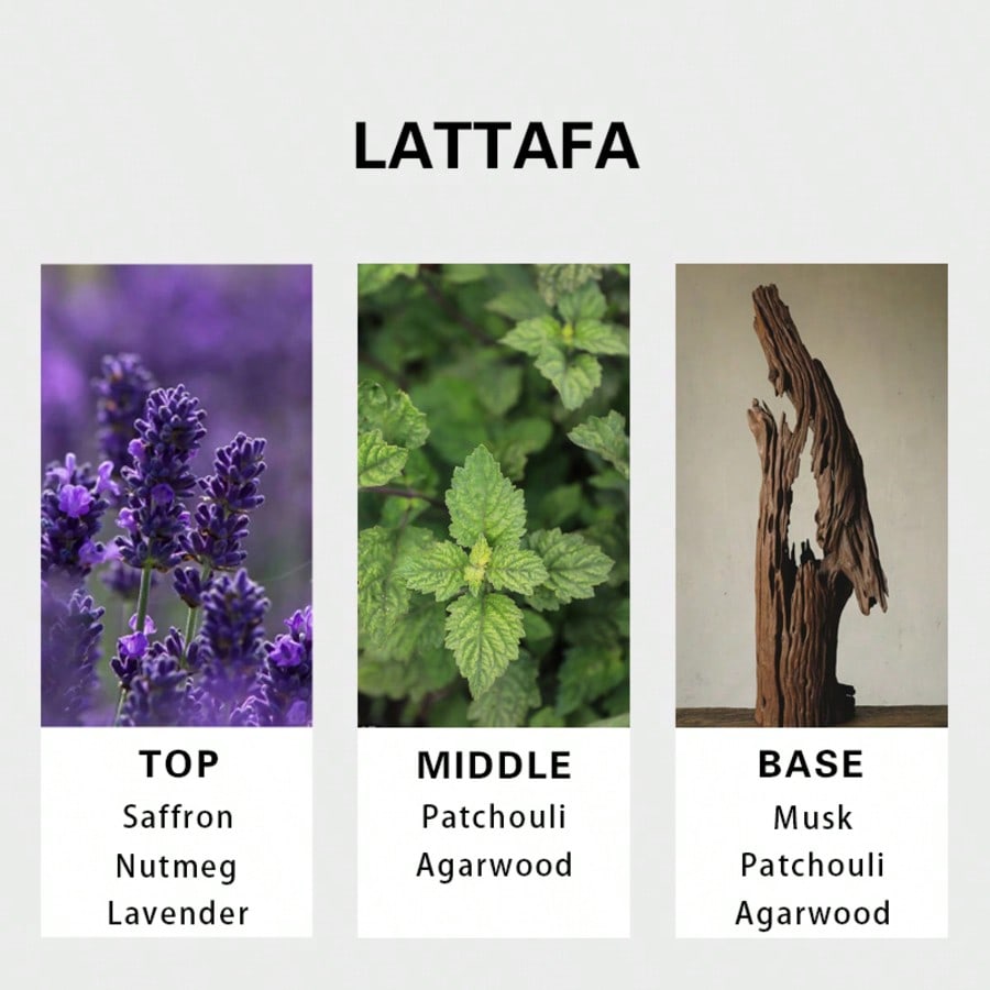 Lattafa Badee Al Oud For Glory - Perfume Scent Fragrance ulasan dan harga