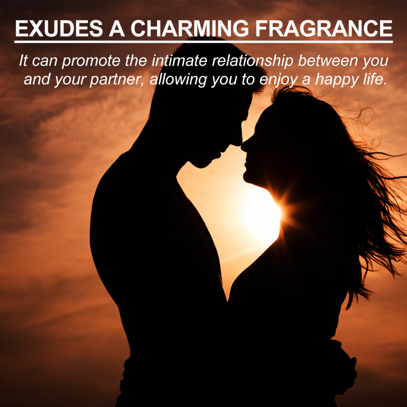 Roxelis Cologne Pria dengan ar - Perfume Fresh Fragrance ulasan dan harga
