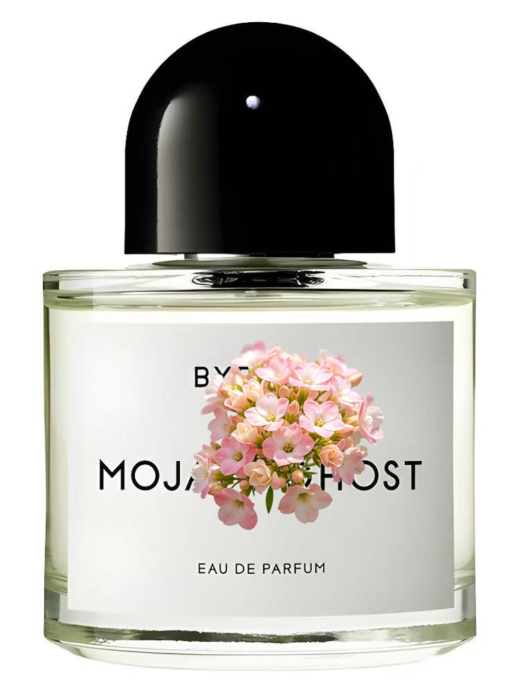 Parfum Unisex Eau de Parfum 10 - Eau De Parfum Women ulasan dan harga